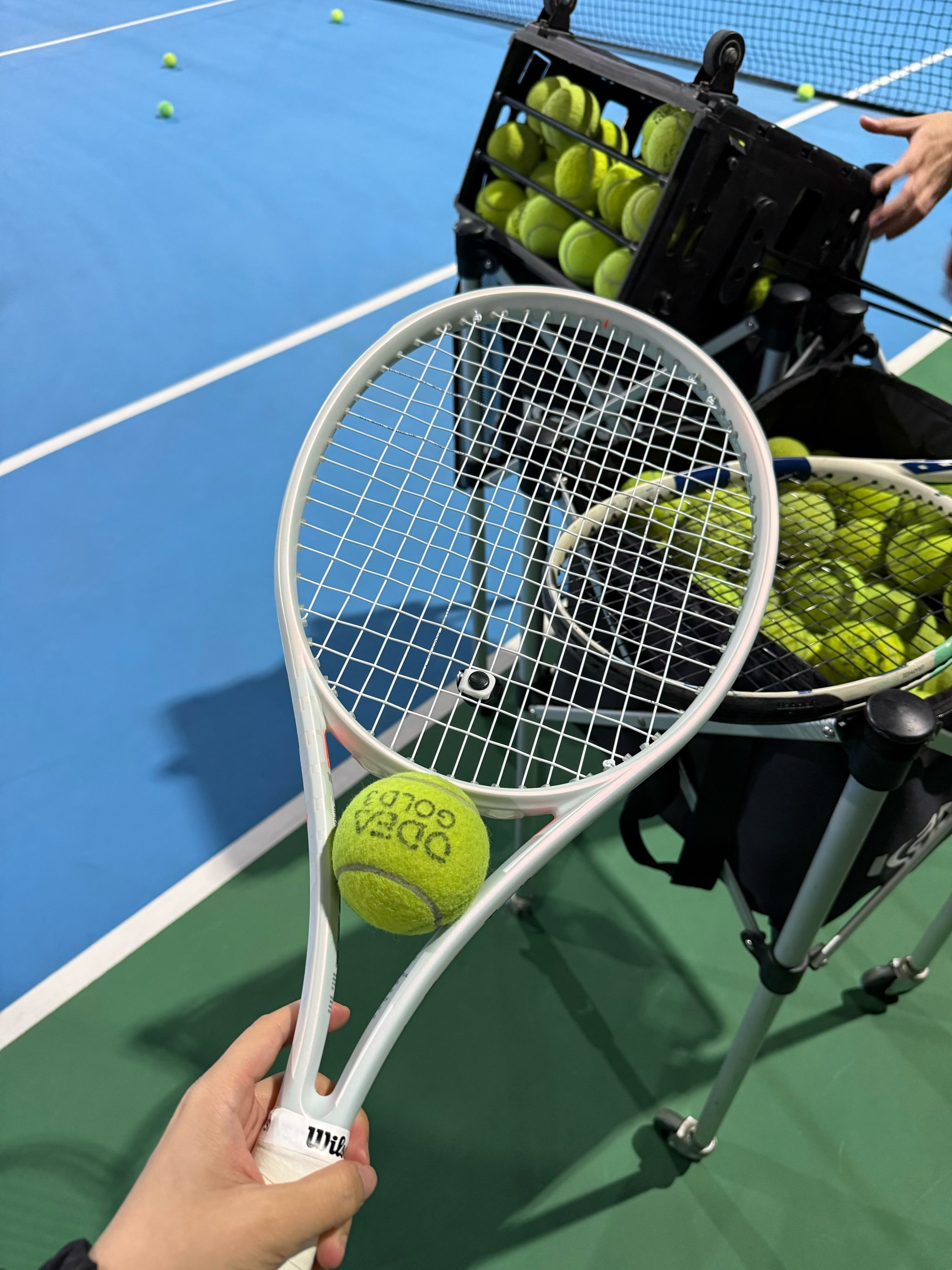 仅能够提升 仅能够提升