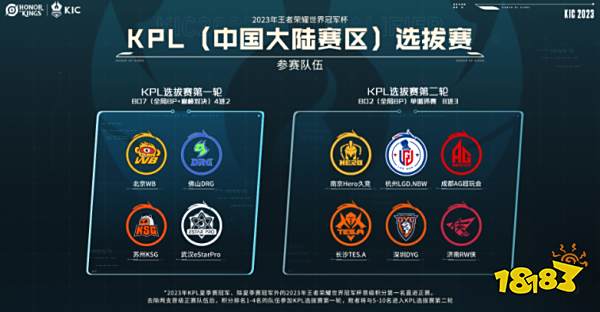 适时的指导 适时的指导