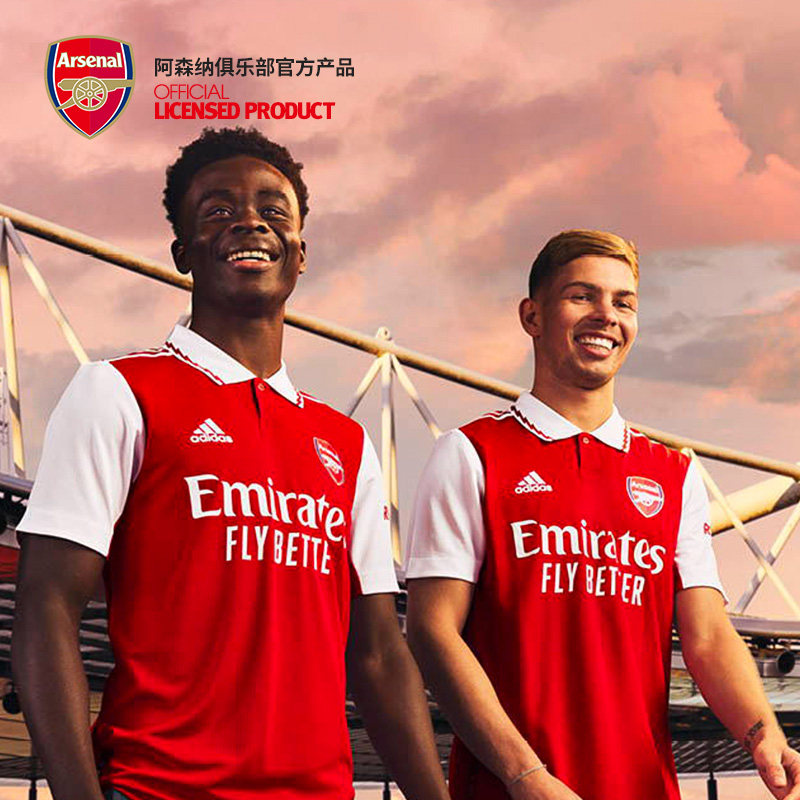 罗宾森的赛 罗宾森的赛