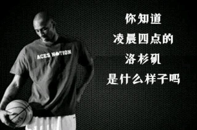 小波特借换 小波特借换